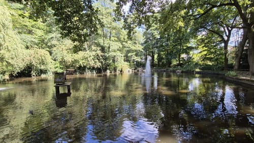 Wahner Heide - Burg Wissem