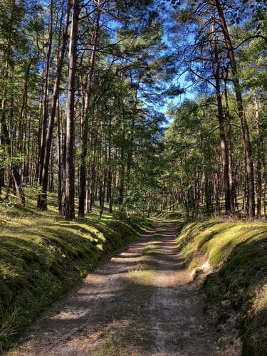 Tremsdorf Runde