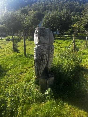 Donaufelsen-Tour (DonauWelle)