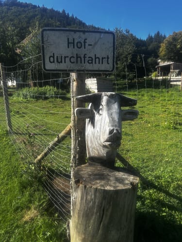 Donaufelsen-Tour (DonauWelle)