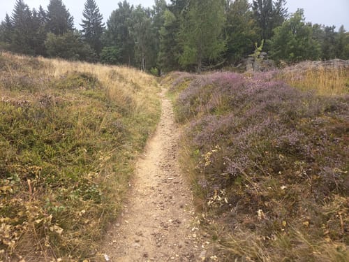 Waldhauser Runde