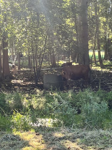 Historischer Rundweg Raddusch