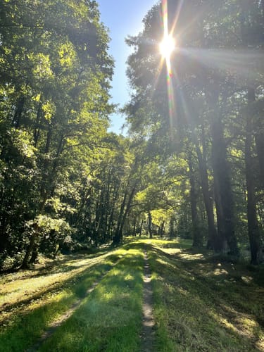 Historischer Rundweg Raddusch