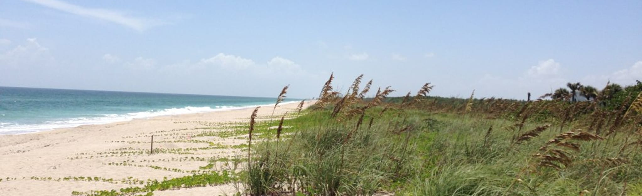 South Hutchinson Island Beach Walk , Florida 2 Reviews, Map AllTrails