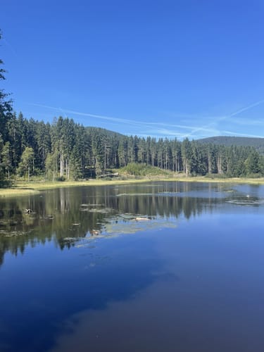 Entlang des Schluchsee von Unteraha nach Unterkrummen