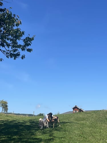 Entlang des Schluchsee von Unteraha nach Unterkrummen