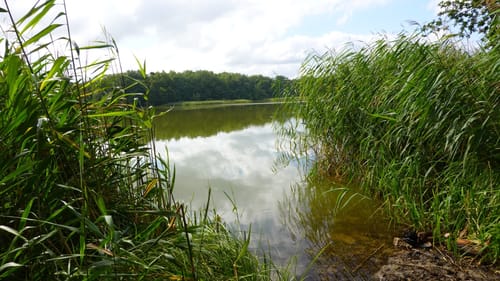 Kleine Runde um Blanksee