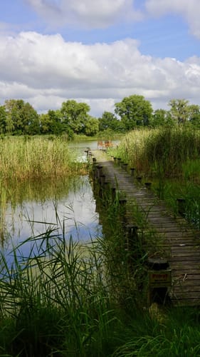 Kleine Runde um Blanksee