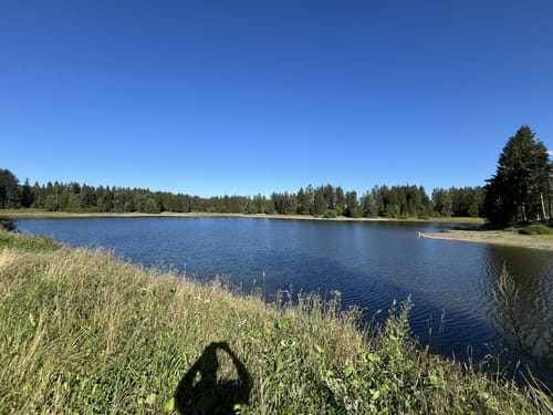 Kiefhölzer Teich - Pfad am Graben