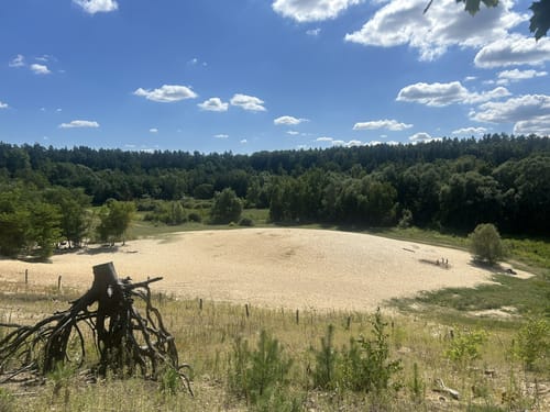Grunewald: Teufelsberg - Schildhorn - Grunewaldturm
