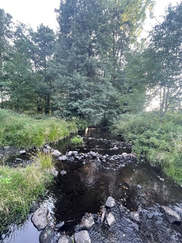 Kirnbergsee Rundweg
