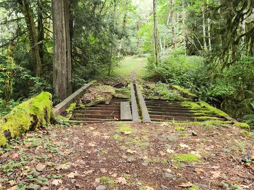 Best forest trails in Kaiser Woods Park | AllTrails