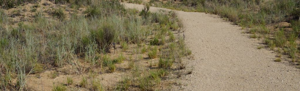 Hoffman Western Desert Sand - Urban Garden Center