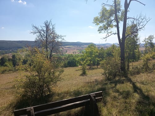 Dreienberg (Extratour)