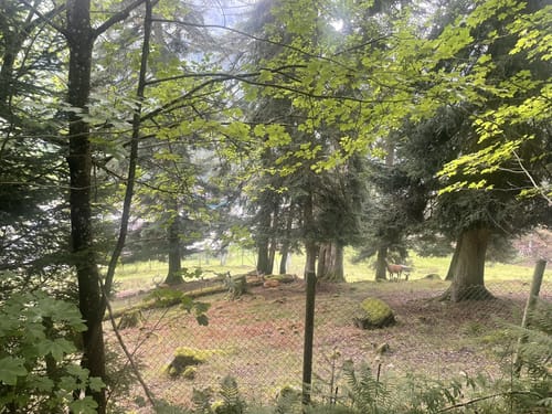 Kleinenzhof - Meisternkopfweg - Eselsweg
