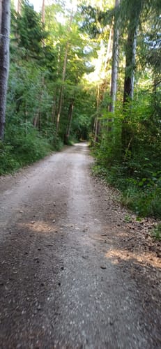 Wagingerseerundweg