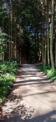 Wagingerseerundweg