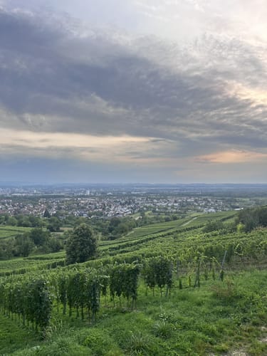 Über den Tüllinger Berg