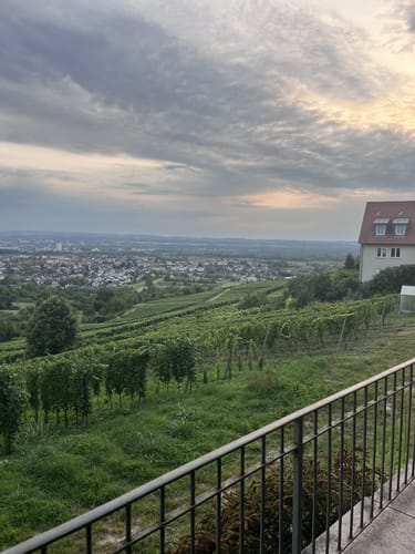 Über den Tüllinger Berg
