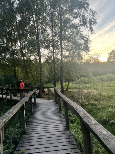 Ohligser Heide Rundweg A1