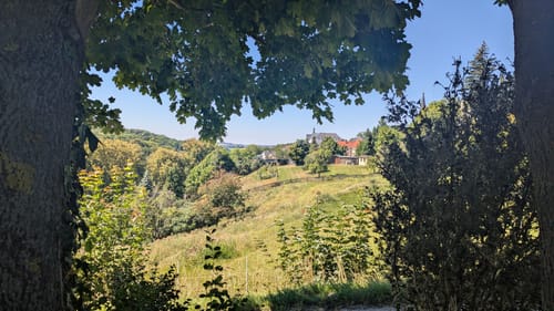 Rund um Wildenfels