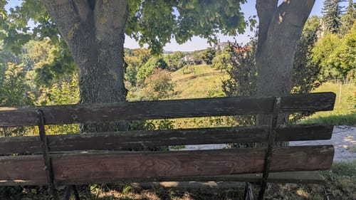 Rund um Wildenfels