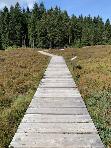 Zum Veilchenbrunnen