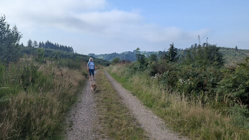 Rundweg Lingeseetalsperre