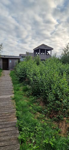 Oppenweher Moor