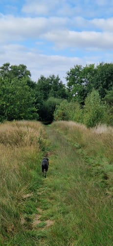 Oppenweher Moor