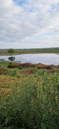 Oppenweher Moor