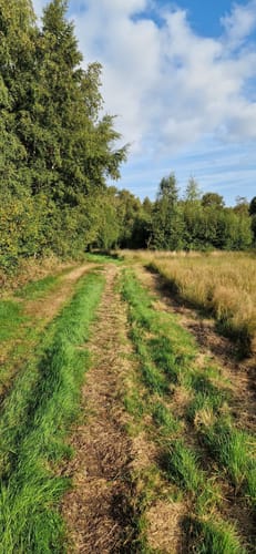 Oppenweher Moor