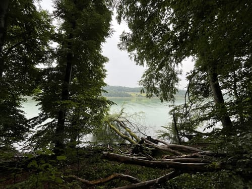 Rund um den Mindelsee