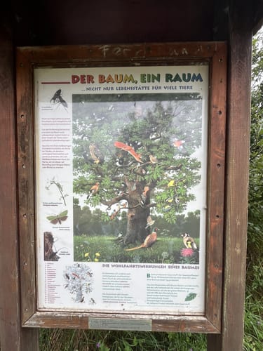 Rund um den Mindelsee