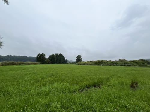 Rund um den Mindelsee
