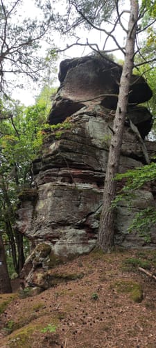 Rimbach-Steig (Premiumwanderweg)