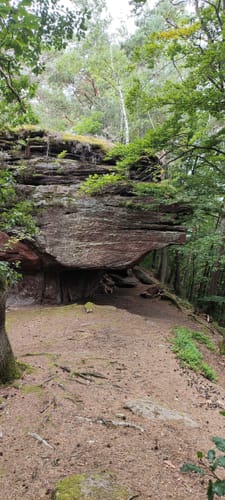 Rimbach-Steig (Premiumwanderweg)