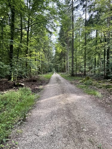 Kloster Himmerod Rundwanderung