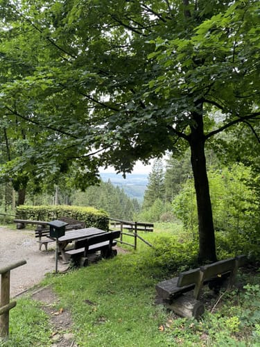 Tränkebachhütte ab Sternplatz
