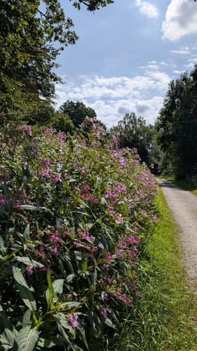 Mittlerer Rundweg Wuppertalsperre