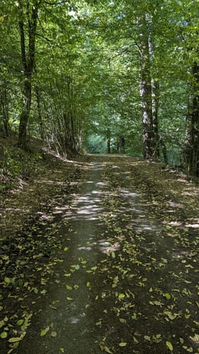 Mittlerer Rundweg Wuppertalsperre