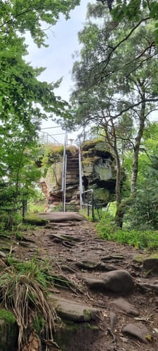 Bärensteig (Premiumwanderweg)