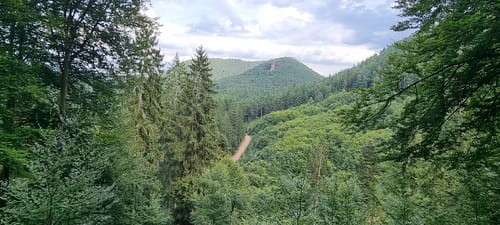 Bärensteig (Premiumwanderweg)