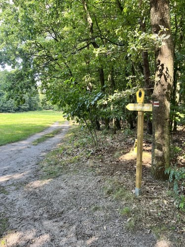 An den Teichen in Kolkwitz