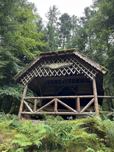 Langenwaldsee Rundwanderung