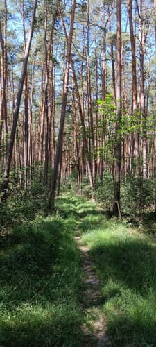 Rundwanderung Hauptendorf bei Herzogenaurach