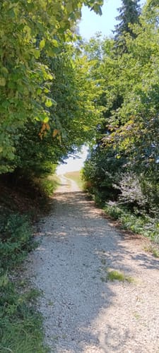 Rundwanderung Hauptendorf bei Herzogenaurach