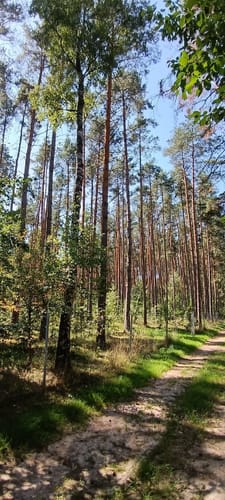 Rundwanderung Hauptendorf bei Herzogenaurach