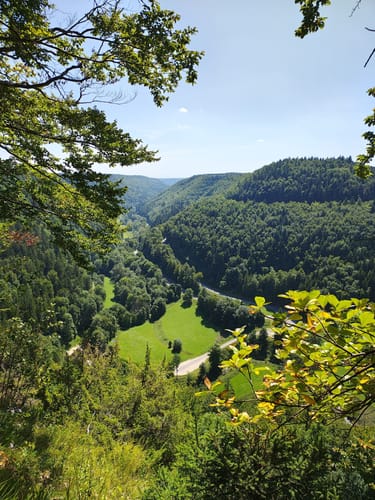 Alter Schäferweg (Donauwelle)