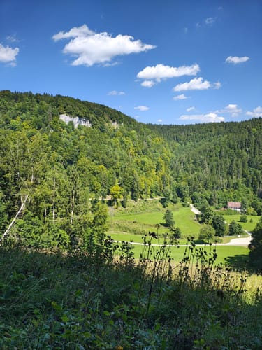 Alter Schäferweg (Donauwelle)